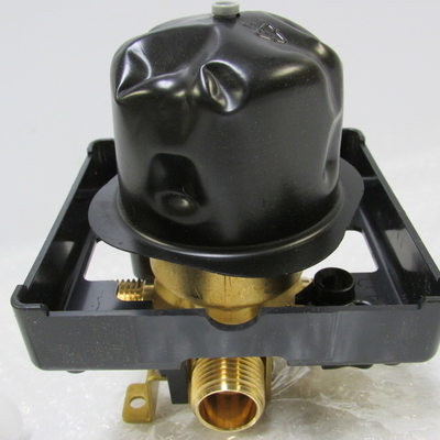 1/2&quot; NPT R10000 UNBX  Multichoice Universal Rough Valve Body